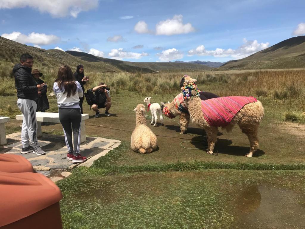 مبيت وإفطار Amazing Huaraz المظهر الخارجي الصورة