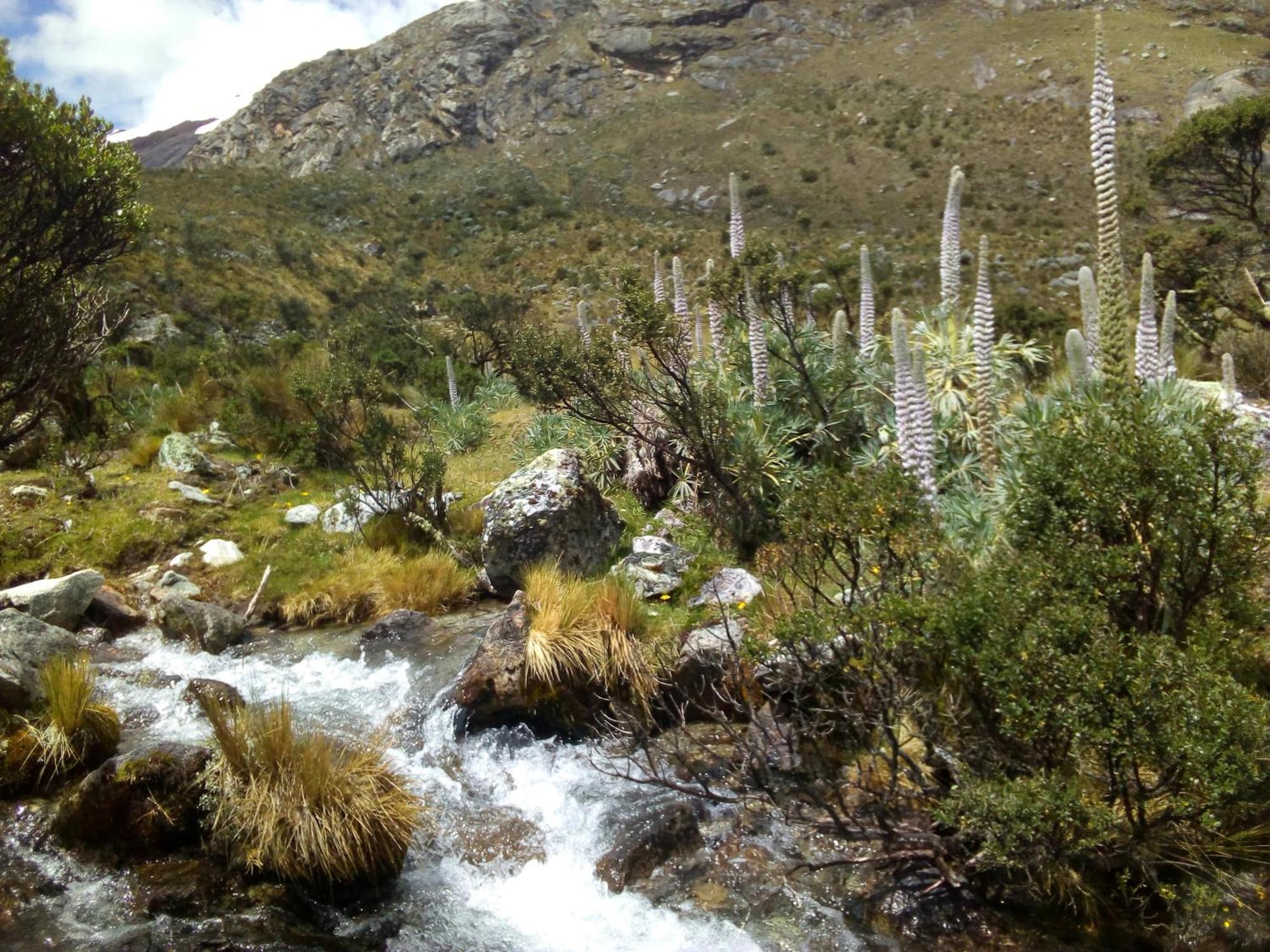 مبيت وإفطار Amazing Huaraz المظهر الخارجي الصورة