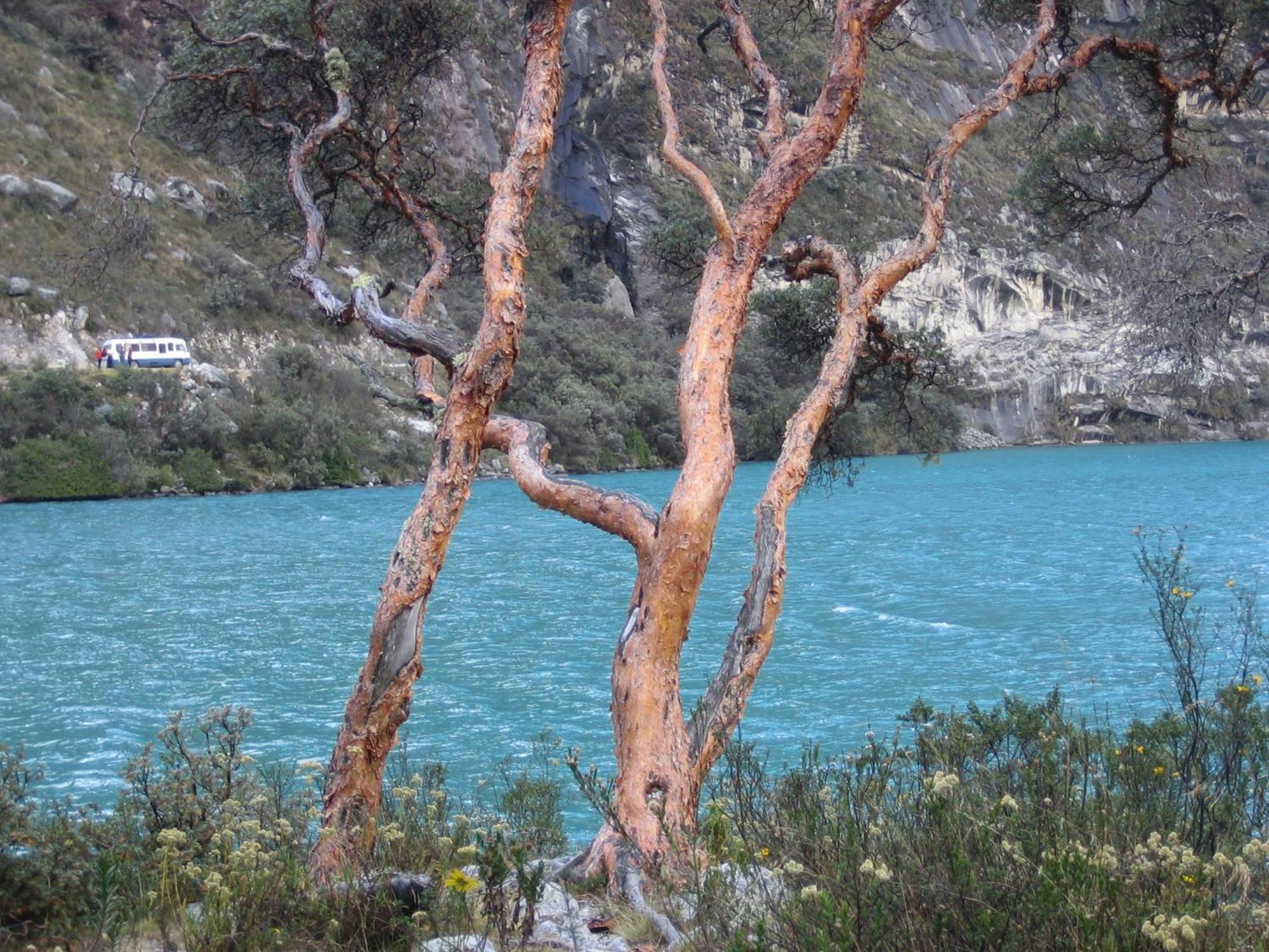 مبيت وإفطار Amazing Huaraz المظهر الخارجي الصورة